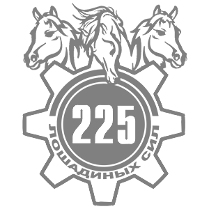  225  