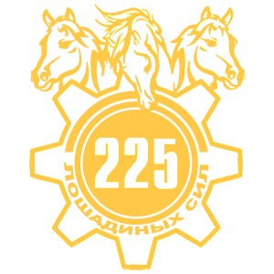  225  