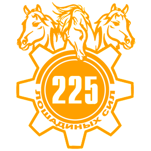  225  