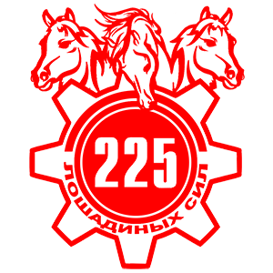  225  