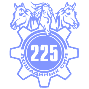  225  