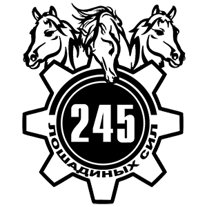 245  