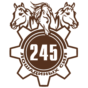  245  