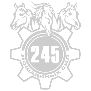  245  