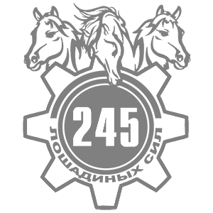  245  