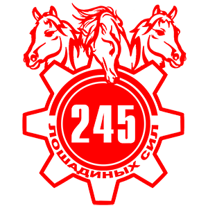  245  