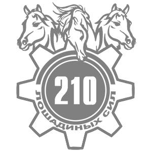 210  