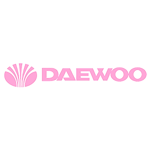  Daewoo group