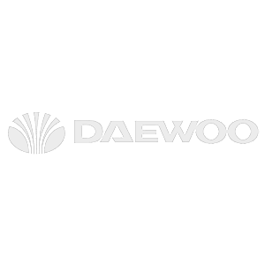 -  Daewoo group -   23 .