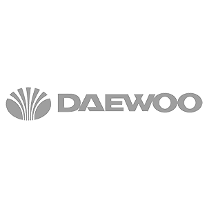  Daewoo group -   23 .