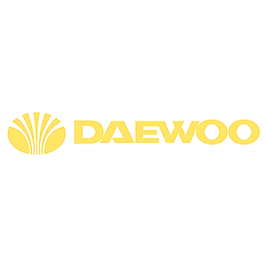  Daewoo group