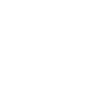      -! -   21 .