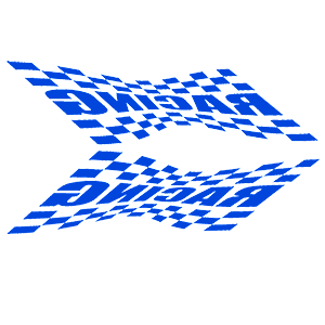      Racing Flag -   135 .