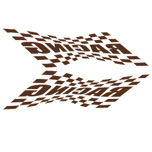      Racing Flag -   135 .
