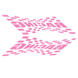      Racing Flag -   135 .