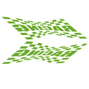    -  Racing Flag -   135 .