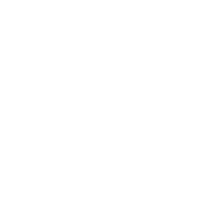      Racing Flag -   135 .