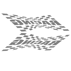     Racing Flag -   135 .