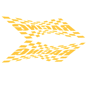      Racing Flag -   135 .