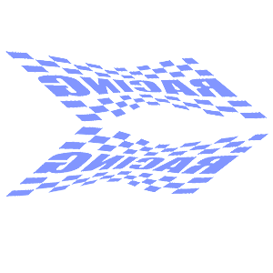      Racing Flag -   135 .