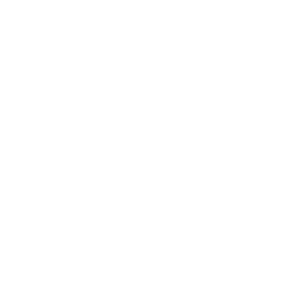       (lion-king) -   147 .