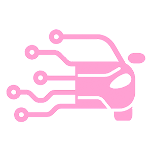      Electric car -   40 .