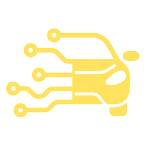      Electric car -   40 .