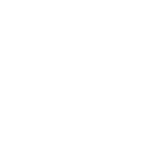      - -   133 .