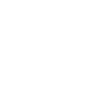         ! -   141 .