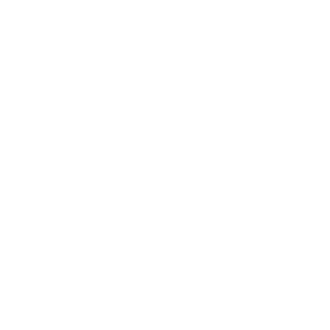  GWM Motors -   58 .