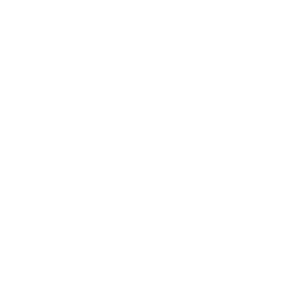      OMODA -   9 .
