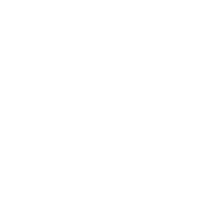   TOYOTA RAV4 -   30 .