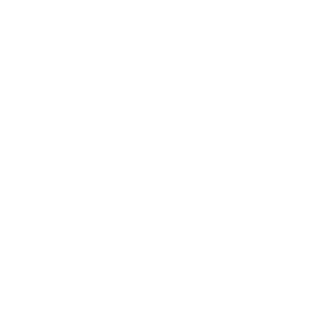   Ford (special series) -   70 .