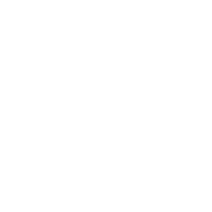  HAVAL special series
