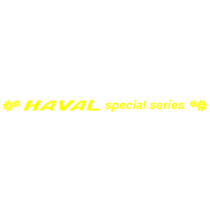  HAVAL special series