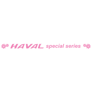  HAVAL special series