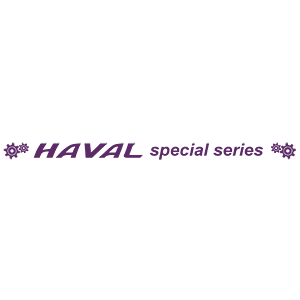  HAVAL special series