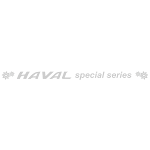  HAVAL special series