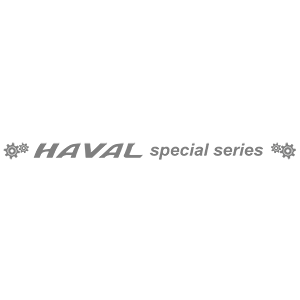  HAVAL special series