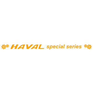  HAVAL special series