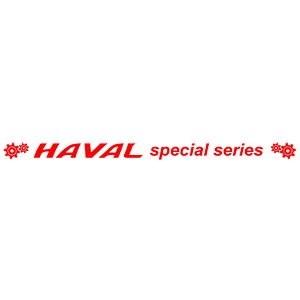  HAVAL special series