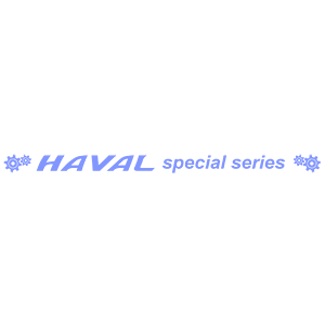  HAVAL special series