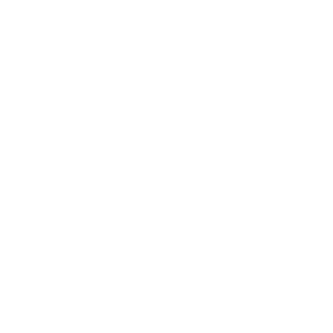         -   133 .