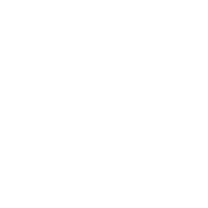      Doogee -   6 .