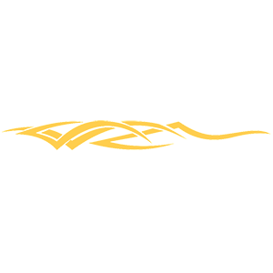           -   70 .