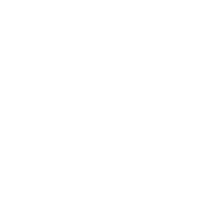    (31.05  21.06)