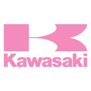  Kavasaki