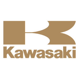  Kavasaki