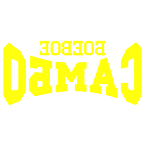        -   81 .