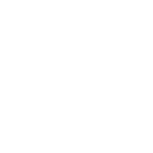      -   133 .